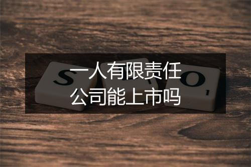 一人有限责任公司能上市吗