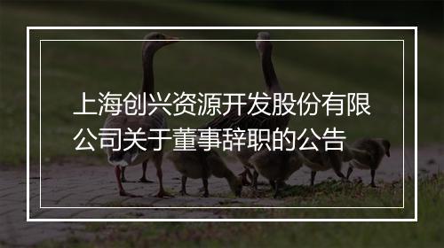 上海创兴资源开发股份有限公司关于董事辞职的公告