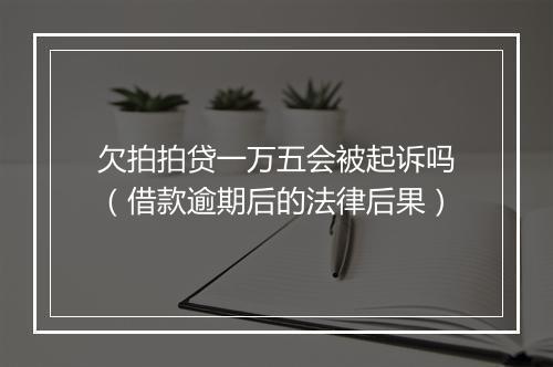 欠拍拍贷一万五会被起诉吗（借款逾期后的法律后果）