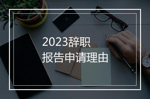 2023辞职报告申请理由