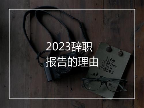 2023辞职报告的理由