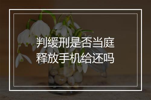 判缓刑是否当庭释放手机给还吗