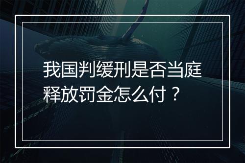 我国判缓刑是否当庭释放罚金怎么付？