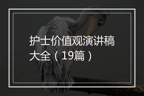 护士价值观演讲稿大全（19篇）