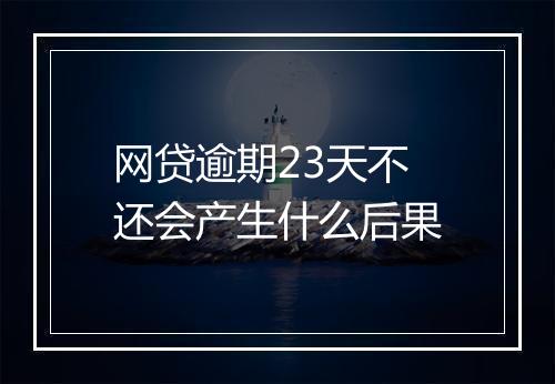 网贷逾期23天不还会产生什么后果