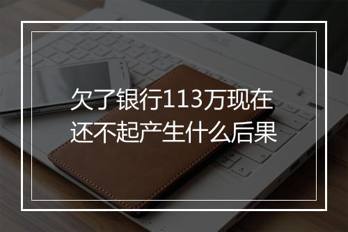 欠了银行113万现在还不起产生什么后果
