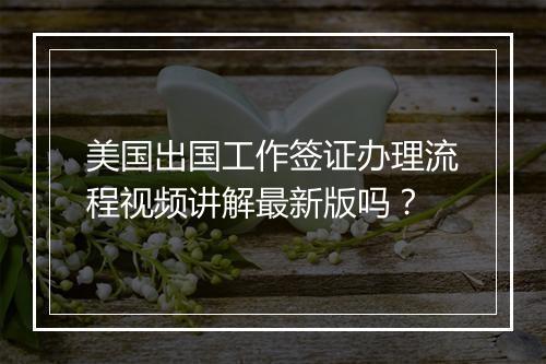美国出国工作签证办理流程视频讲解最新版吗？