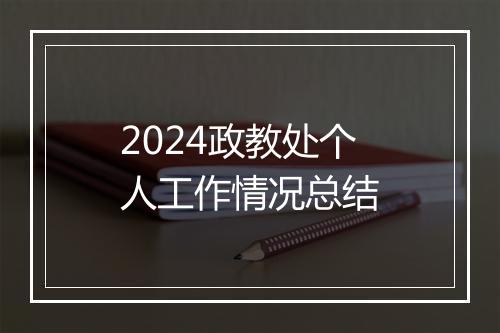 2024政教处个人工作情况总结