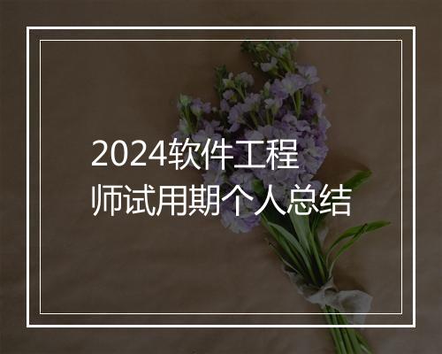 2024软件工程师试用期个人总结