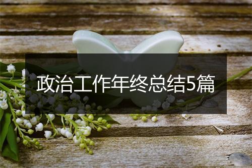 政治工作年终总结5篇
