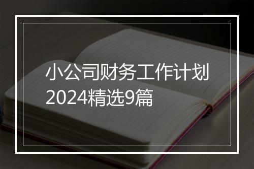 小公司财务工作计划2024精选9篇