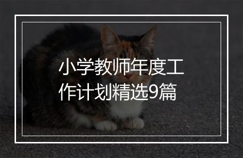 小学教师年度工作计划精选9篇