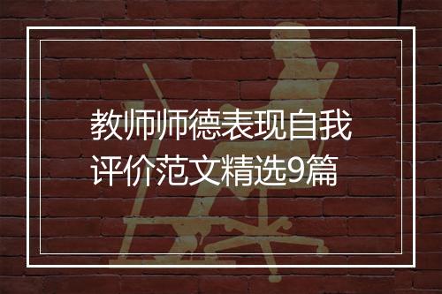 教师师德表现自我评价范文精选9篇