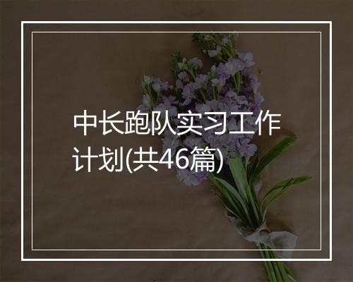 中长跑队实习工作计划(共46篇)