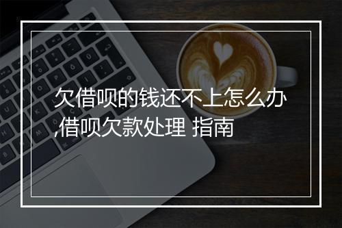 欠借呗的钱还不上怎么办,借呗欠款处理 指南