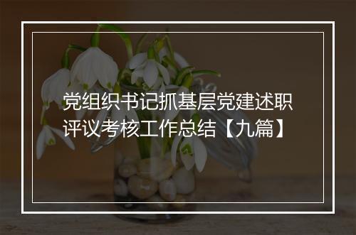 党组织书记抓基层党建述职评议考核工作总结【九篇】