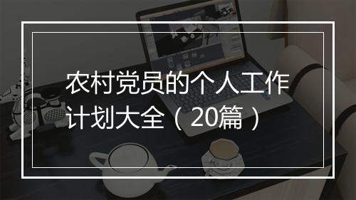 农村党员的个人工作计划大全（20篇）