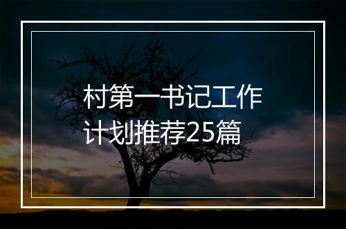 村第一书记工作计划推荐25篇