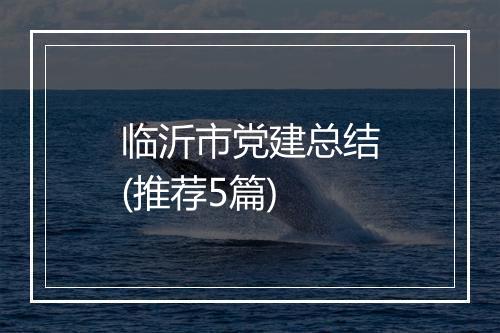 临沂市党建总结(推荐5篇)