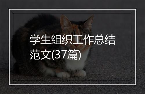 学生组织工作总结范文(37篇)
