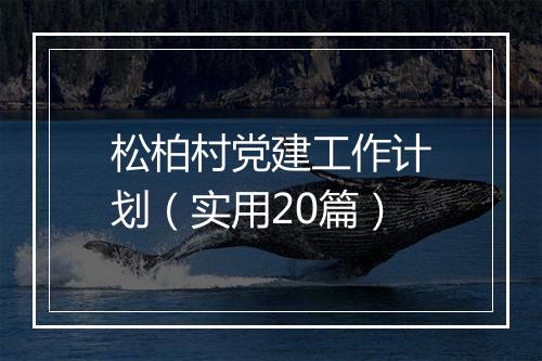 松柏村党建工作计划（实用20篇）