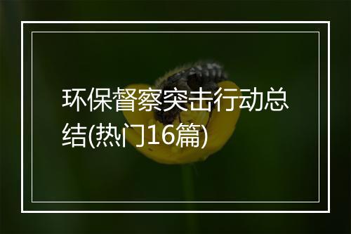 环保督察突击行动总结(热门16篇)