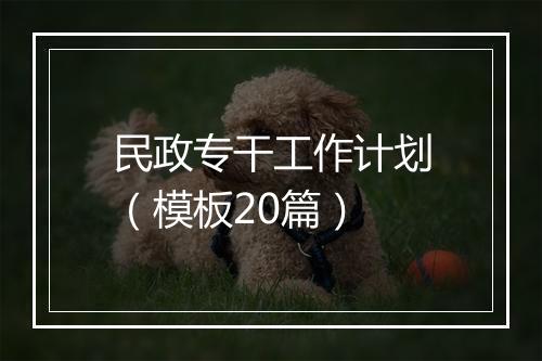 民政专干工作计划（模板20篇）