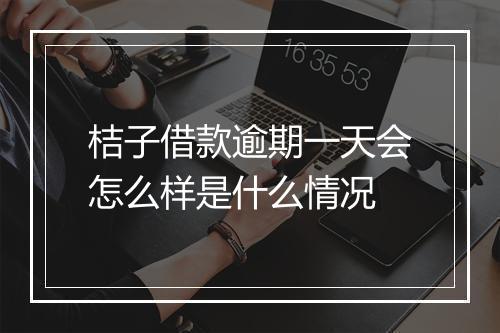 桔子借款逾期一天会怎么样是什么情况