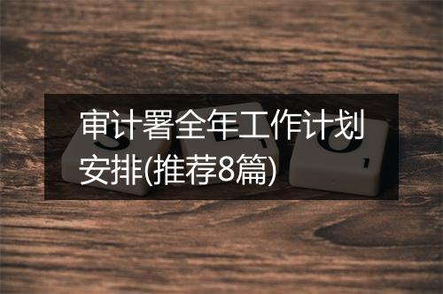 审计署全年工作计划安排(推荐8篇)
