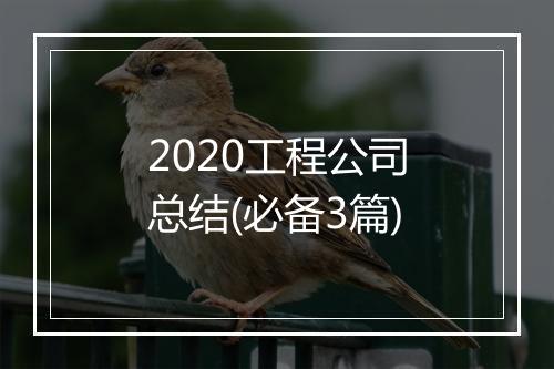 2020工程公司总结(必备3篇)