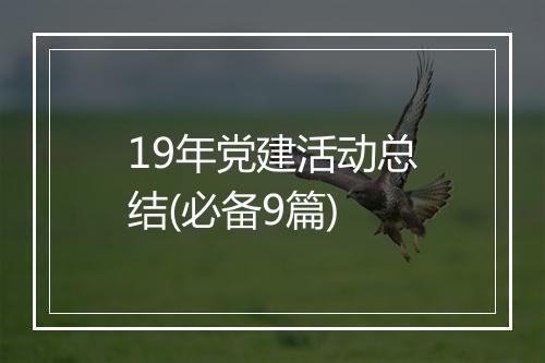 19年党建活动总结(必备9篇)