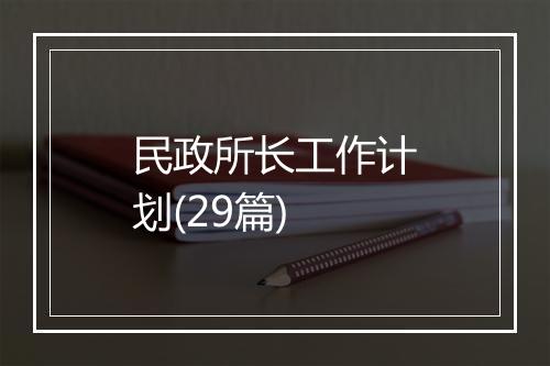 民政所长工作计划(29篇)