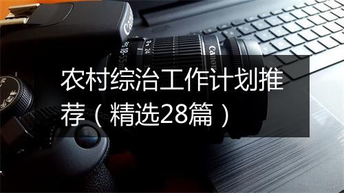 农村综治工作计划推荐（精选28篇）