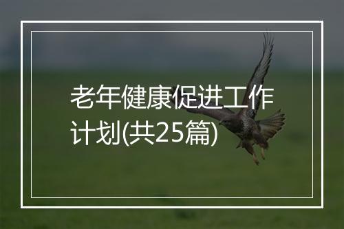 老年健康促进工作计划(共25篇)