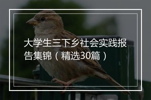 大学生三下乡社会实践报告集锦（精选30篇）