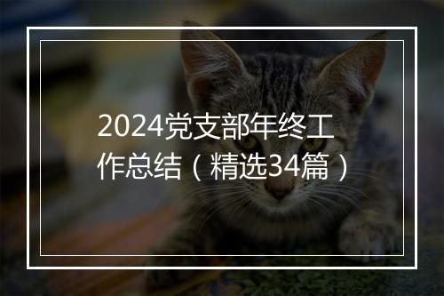 2024党支部年终工作总结（精选34篇）