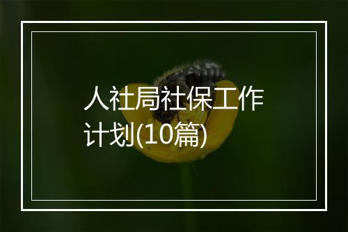 人社局社保工作计划(10篇)