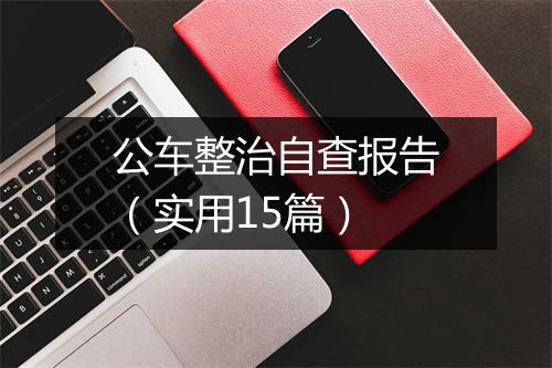 公车整治自查报告（实用15篇）