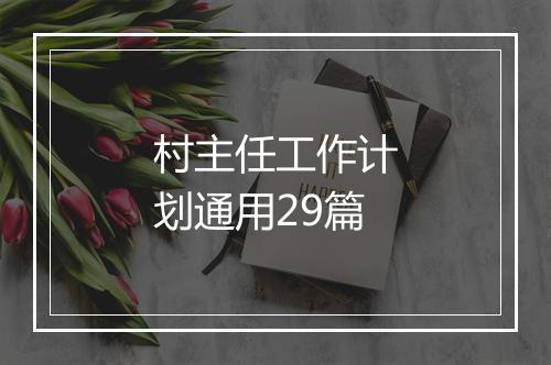 村主任工作计划通用29篇