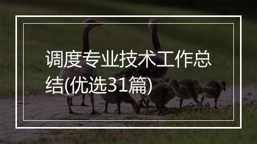调度专业技术工作总结(优选31篇)
