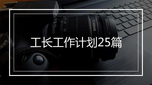 工长工作计划25篇