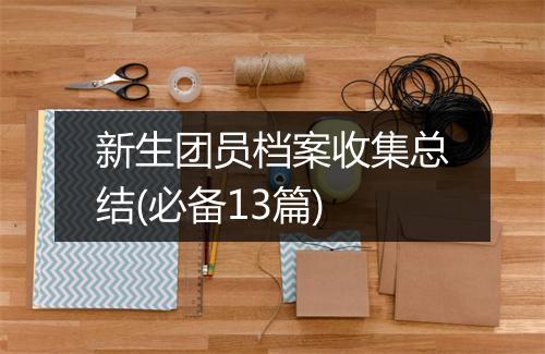 新生团员档案收集总结(必备13篇)