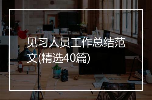 见习人员工作总结范文(精选40篇)