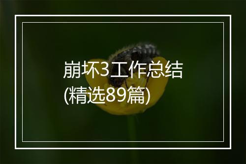 崩坏3工作总结(精选89篇)
