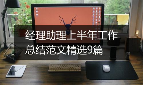 经理助理上半年工作总结范文精选9篇