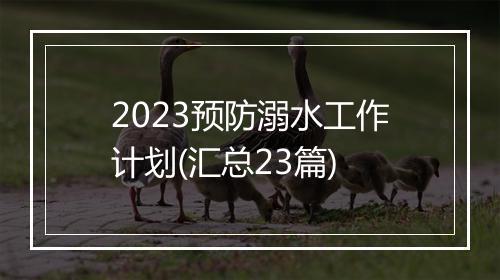 2023预防溺水工作计划(汇总23篇)