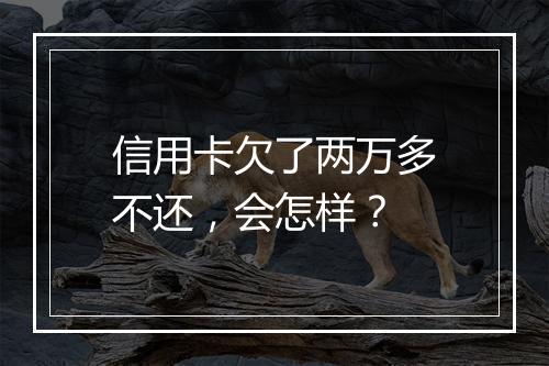 信用卡欠了两万多不还，会怎样？