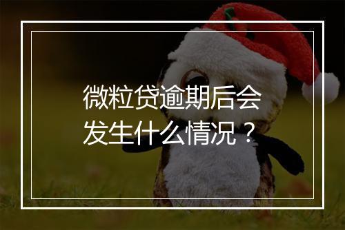 微粒贷逾期后会发生什么情况？