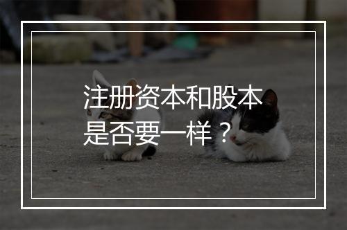 注册资本和股本是否要一样？