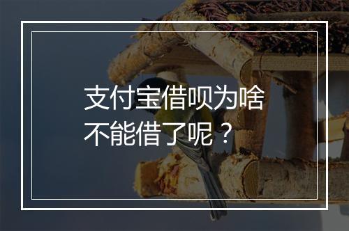 支付宝借呗为啥不能借了呢？